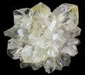 Twinned Selenite Crystals (Fluorescent) - Red River Floodway #64531-1